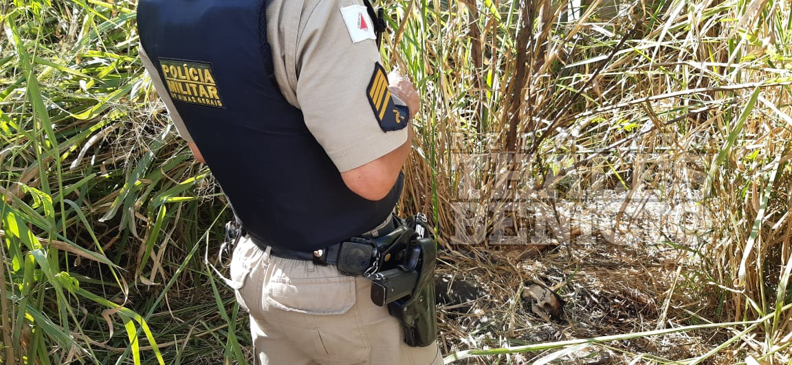 corpo-em-decomposicao-e-encontrado-durante-limpeza-no-cemiterio