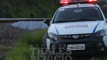 pai-e-filho-sao-presos-por-suspeita-de-furtar-dormentes-da-vale