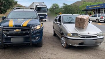 suspeitos-de-furtar-cotonetes-sao-presos-pela-prf-em-nova-era