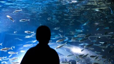 setembro-dourado-chama-atencao-para-cancer-em-criancas-e-adolescentes