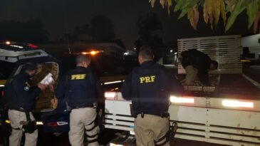 prf-apreende-mais-de-1-tonelada-de-maconha-na-br-381