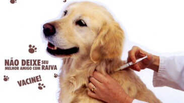 itabira-realiza-dia-d-de-vacinacao-antirrabica-neste-sabado-23