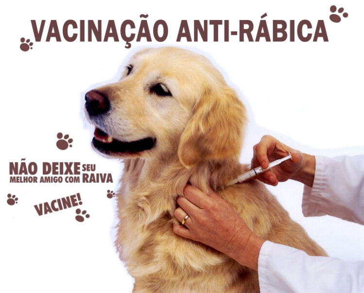 itabira-realiza-dia-d-de-vacinacao-antirrabica-neste-sabado-23