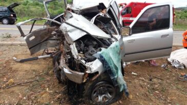 motorista-fica-ferido-apos-caminhonete-colidir-contra-eucalipto-na-mgc-146