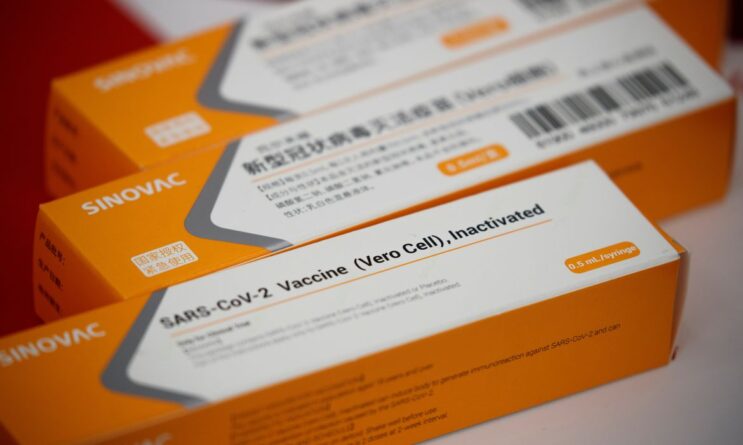 estudo-da-coronavac-mostra-pandemia-pode-ser-controlada