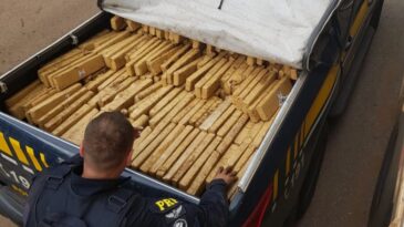 prf-apreende-carreta-carregada-com-maconha-em-patos-de-minas