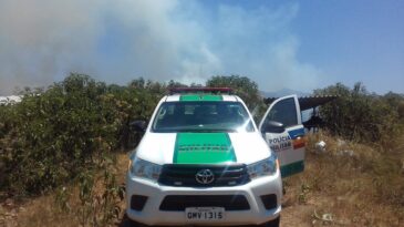 homem-e-autuado-em-quase-r-19-mil-por-causar-incendio-na-regiao-da-serra-do-cipo
