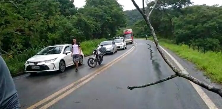 motociclista-e-atingido-por-queda-de-arvore-na-mgc-120