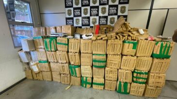policia-civil-faz-uma-das-maiores-apreensoes-de-drogas-dos-ultimos-anos