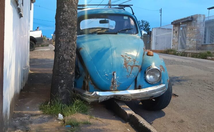 motorista-atropela-mulher-e-bate-contra-uma-arvore