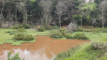 homem-e-encontrado-morto-atolado-no-brejo-em-itabira