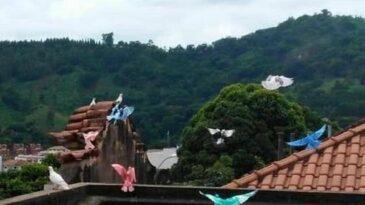 pintor-de-pombas-e-procurado-pela-policia-no-interior-de-minas