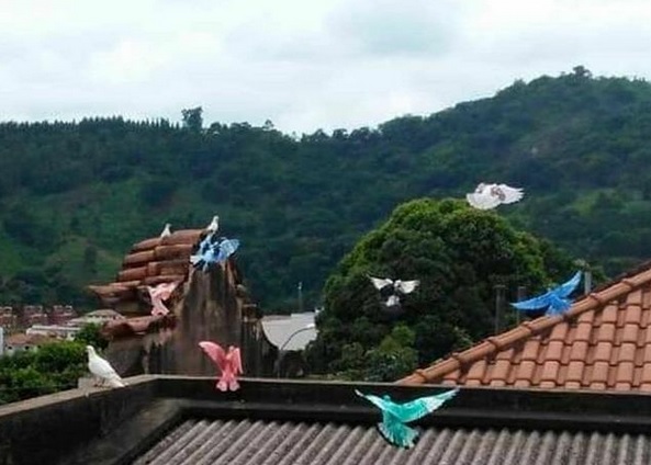 pintor-de-pombas-e-procurado-pela-policia-no-interior-de-minas