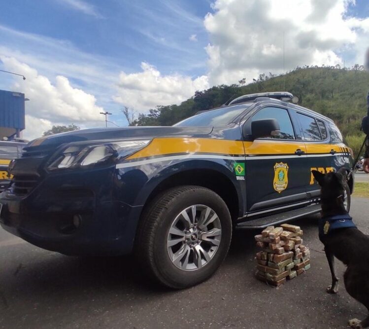 prf-prende-idoso-que-transportava-41-barras-de-crack