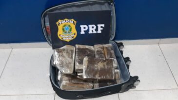 prf-apreende-mala-recheada-de-maconha-em-onibus