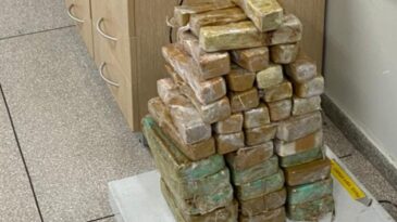 acao-policial-resulta-em-prisao-e-apreensao-de-drogas-em-rodovia