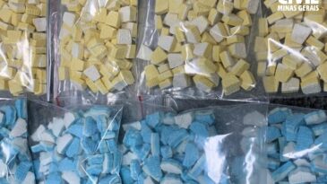 pc-prende-homem-ao-receber-cerca-de-meio-quilo-de-ecstasy