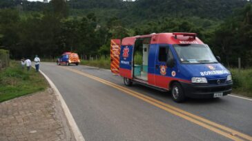 animal-na-pista-causa-acidente-com-motociclista-na-mgc-120