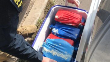 prf-apreende-cerca-de-20-kg-de-pasta-base-de-cocaina-na-br-381