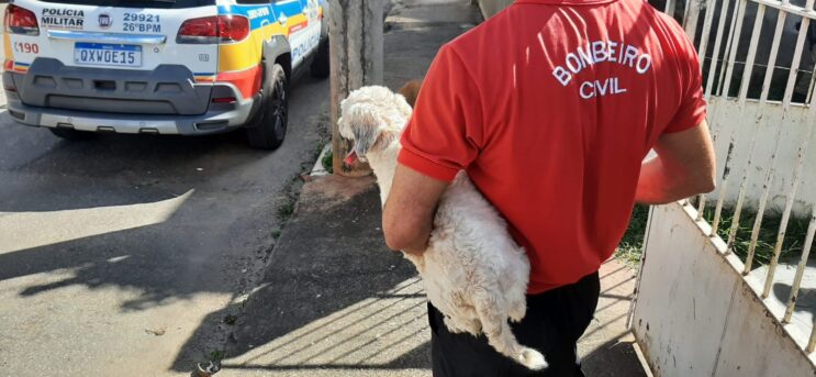 homem-e-presos-por-furtar-cachorro-em-itabira