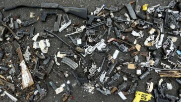 Projeto dispensa registro de arma de fogo antiga ou danificada