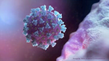 anvisa-autoriza-uso-emergencial-de-coquetel-contra-a-covid-19