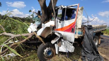caminhao-fica-destruido-ao-colidir-contra-uma-arvore-na-br-365