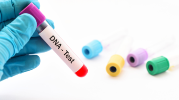entra-em-vigor-lei-do-teste-de-paternidade-em-parentes-de-suposto-pai