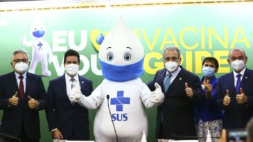 vacinacao-contra-a-gripe-deve-atingir-80-milhoes-de-pessoas