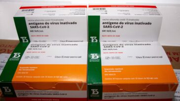 mais-30-400-doses-da-coronavac-chegam-a-minas-gerais