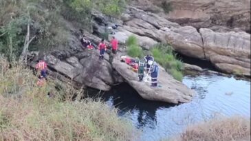 ataque-de-abelhas-resulta-na-morte-de-casal-em-barao-de-cocais