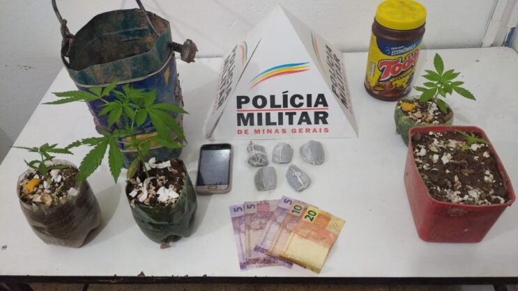 suspeito-de-trafico-e-preso-cultivando-maconha-em-catas-altas