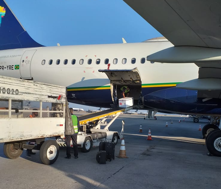 mais-622-590-doses-vao-reforcar-vacinacao-de-grupos-prioritarios-em-minas