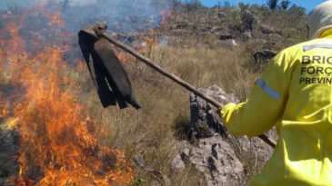 processo-seletivo-para-brigadistas-vai-ate-13-de-julho