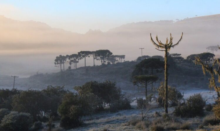 defesa-civil-de-minas-alerta-para-queda-de-temperatura-e-risco-de-geada