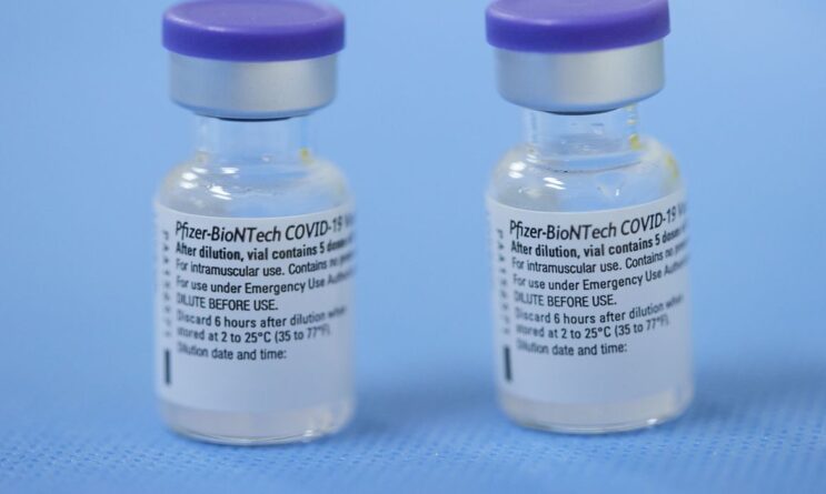 intervalo-maior-de-doses-da-vacina-pfizer-aumenta-niveis-de-anticorpos