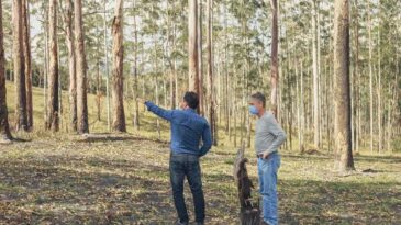 terreno-no-ribeira-de-cima-e-descartado-e-prefeitura-levanta-outras-areas-para-centro-socioeducativo