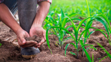 27a-semana-do-produtor-rural-reforca-o-agronegocio-em-itabira