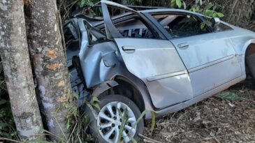 motorista-e-socorrido-apos-acidente-na-mg-434-nos-bambas