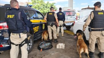 jovem-e-preso-transportando-barras-de-crack-na-br-365