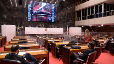 garantia-de-absorventes-a-mulheres-em-vulnerabilidade-e-lei