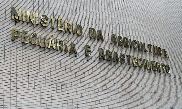 ministerio-confirma-casos-de-vaca-louca-em-mato-grosso-e-minas-gerais