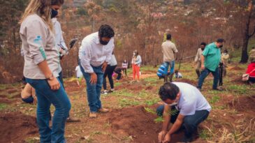 pico-do-amor-recebe-173-mudas-nativas-de-presente-no-aniversario-de-itabira