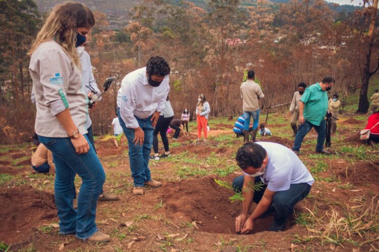 pico-do-amor-recebe-173-mudas-nativas-de-presente-no-aniversario-de-itabira