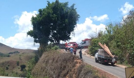idoso-morre-ao-ser-atacado-por-enxame-de-abelhas-em-itabira