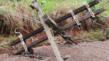 arvore-derrubada-na-rede-interrompe-fornecimento-de-energia-em-itabira