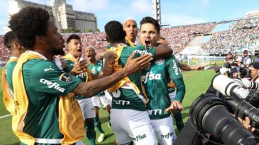 palmeiras-e-tricampeao-da-copa-libertadores-da-america