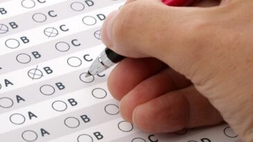 educacao-convoca-classificados-para-vagas-de-professor-especialista-e-monitor-de-creche