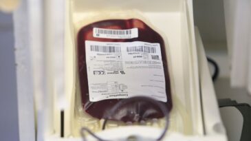 saude-e-anvisa-atualizam-regras-para-doacao-de-sangue-durante-pandemia