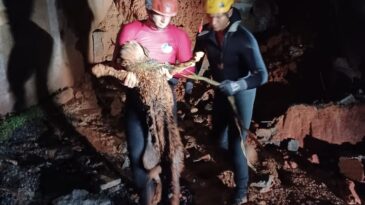 cachorro-sobrevive-a-desabamento-e-e-resgatado-pelos-bombeiros